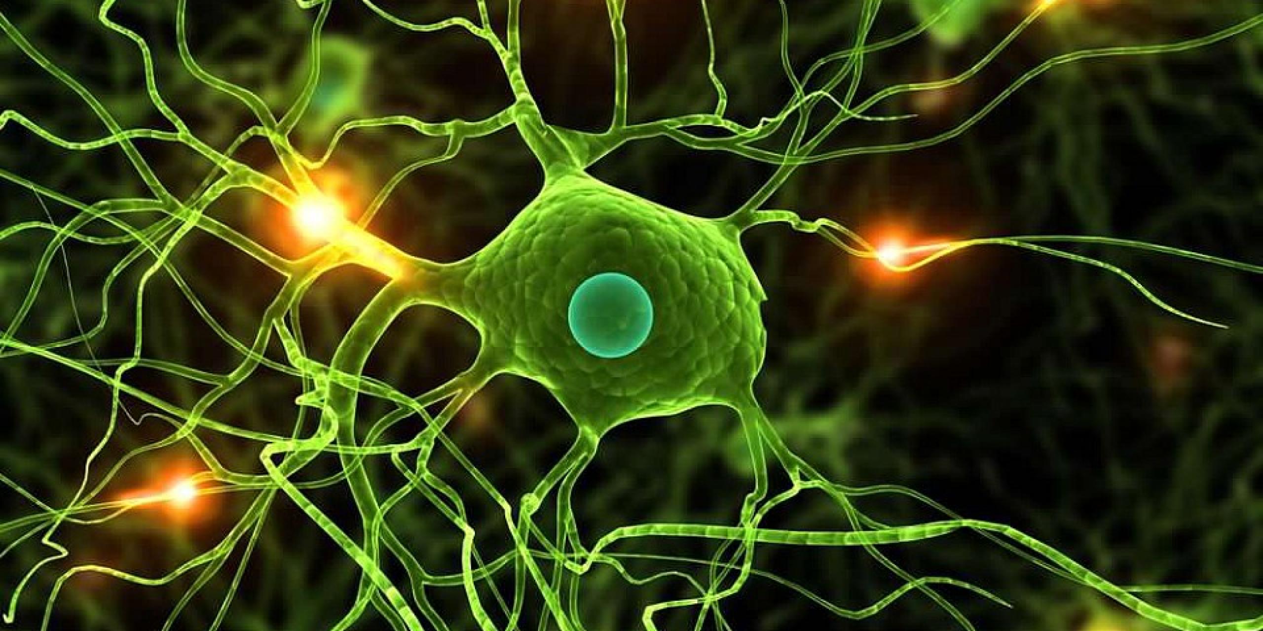 The European Molecular Biology Laboratory (EMBL) EMBL Australia